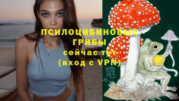 бошки Белокуриха