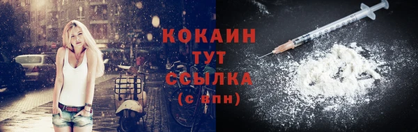 бошки Белокуриха