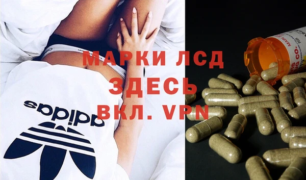 бошки Белокуриха