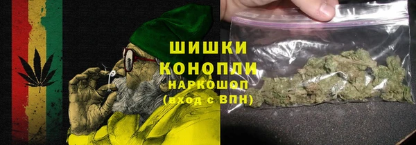 бошки Белокуриха