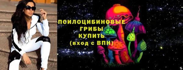 бошки Белокуриха