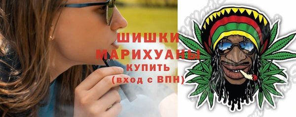 бошки Белокуриха