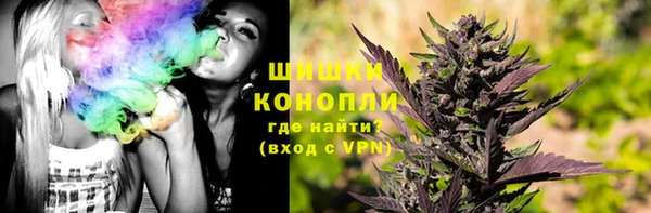 бошки Белокуриха