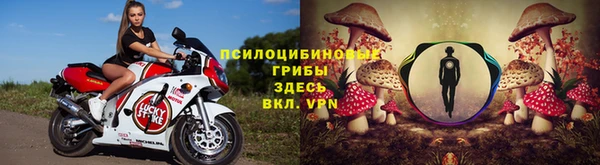 трава Новокубанск